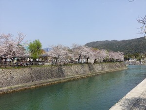DSC09305_R