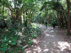 DSC05455_R
