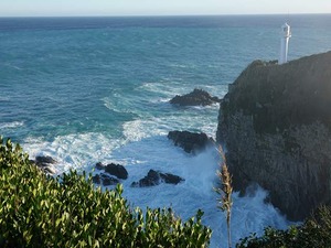 DSC08934_R