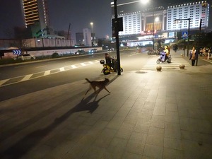 DSC01526_R