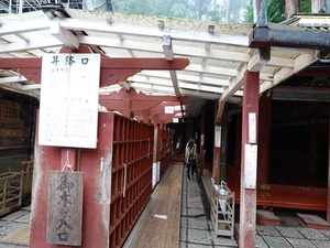 DSC08395_R