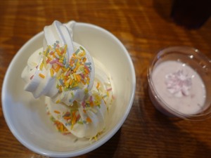 DSC02766_R