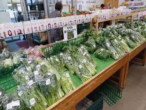 DSC04971_R