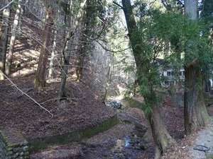 DSC07726_R