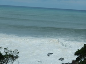 DSC08833_R