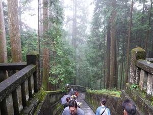 DSC08389_R