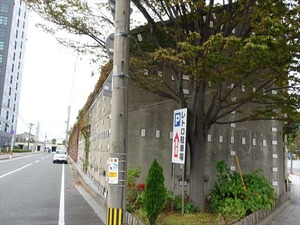 DSC06145_R