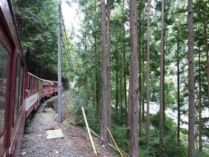 DSC06244_R