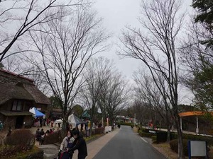 DSC04467_R