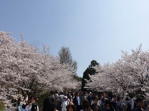 DSC09330_R