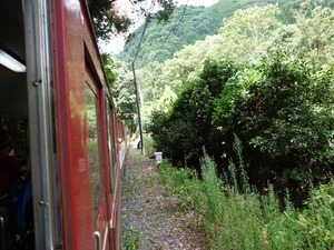 DSC06243_R