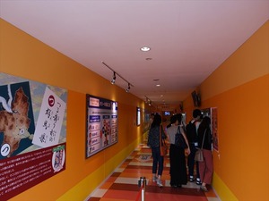 DSC08484_R
