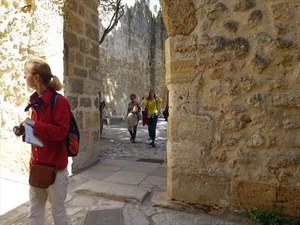 DSC07491_R