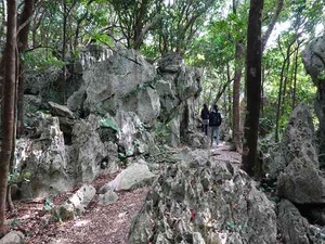 DSC05472_R