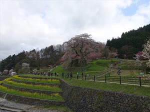 DSC09002_R