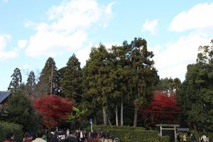 IMG_8909