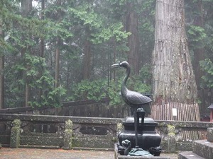DSC08379_R