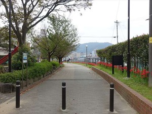 DSC06117_R