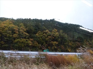 DSC01174_R