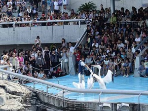 DSC05712_R