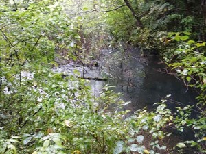 DSC08750_R
