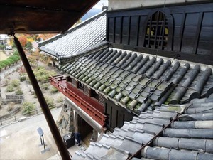 DSC01115_R
