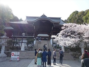 DSC09338_R