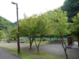 DSC06506_R