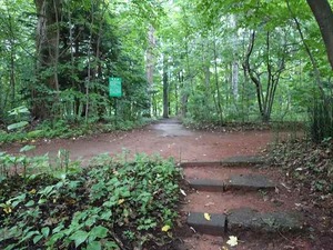 DSC09324_R