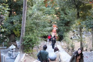 IMG_8949