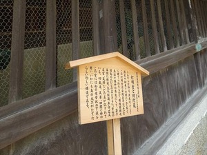 DSC01365_R