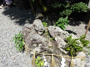 DSC07654_R