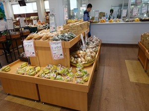 DSC08558_R