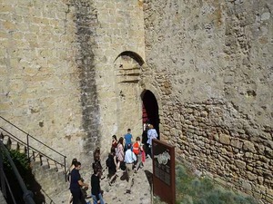 DSC07490_R