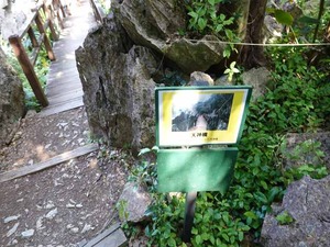DSC05508_R