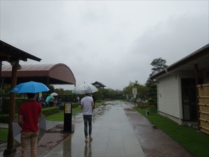 DSC08578_R