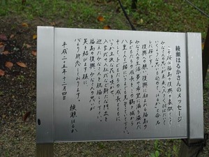 DSC08535_R