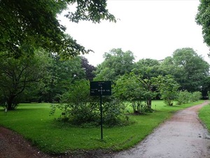 DSC09281_R