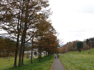 DSC00296_R