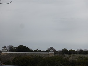 DSC08878_R