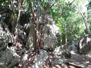 DSC05502_R