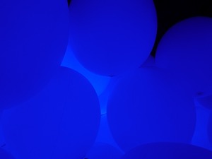 DSC07505_R
