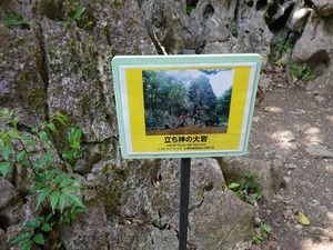 DSC05505_R