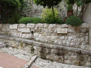 DSC09901_R