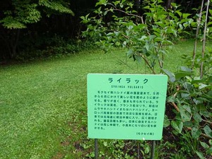 DSC09304_R