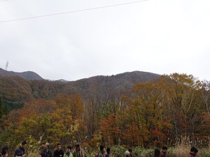 DSC00278_R