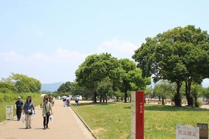 IMG_3883