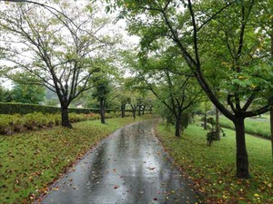 DSC08618_R