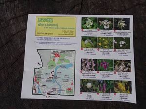 DSC09265_R