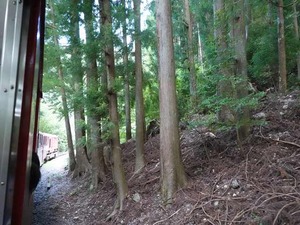 DSC06524_R